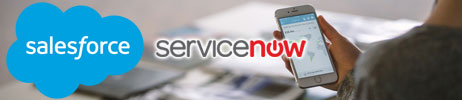 saleforce servicenow banner